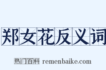 郑女花反义词是什么意思的图片